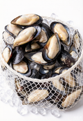 Fresh Mussels